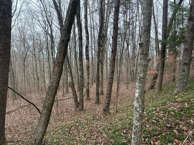 12062 Browns Hollow Road
