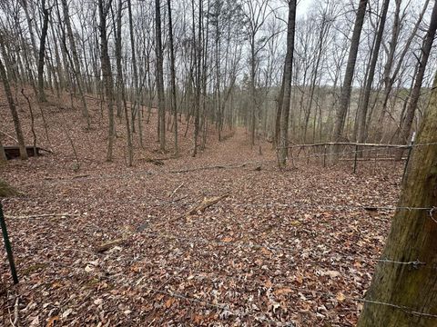 12062 Browns Hollow Road Tracy City TN 37387