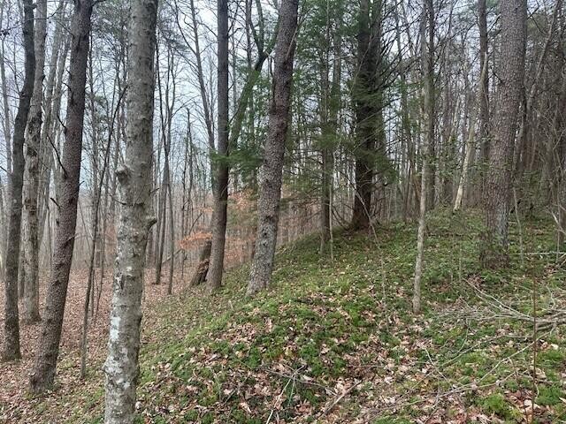 12062 Browns Hollow Road
