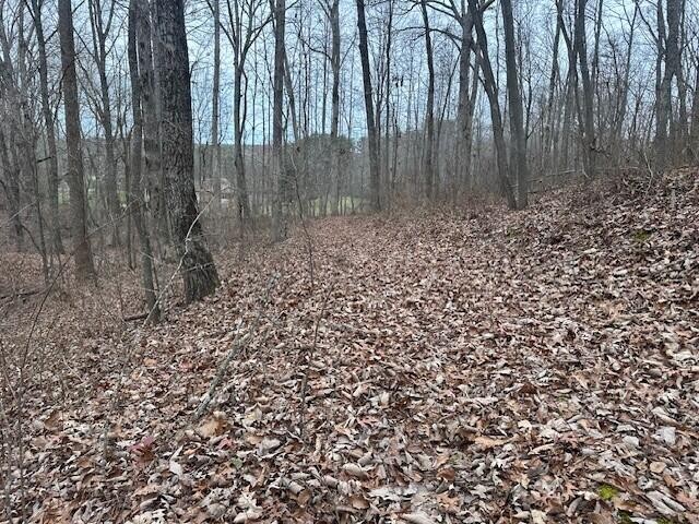 12062 Browns Hollow Road
