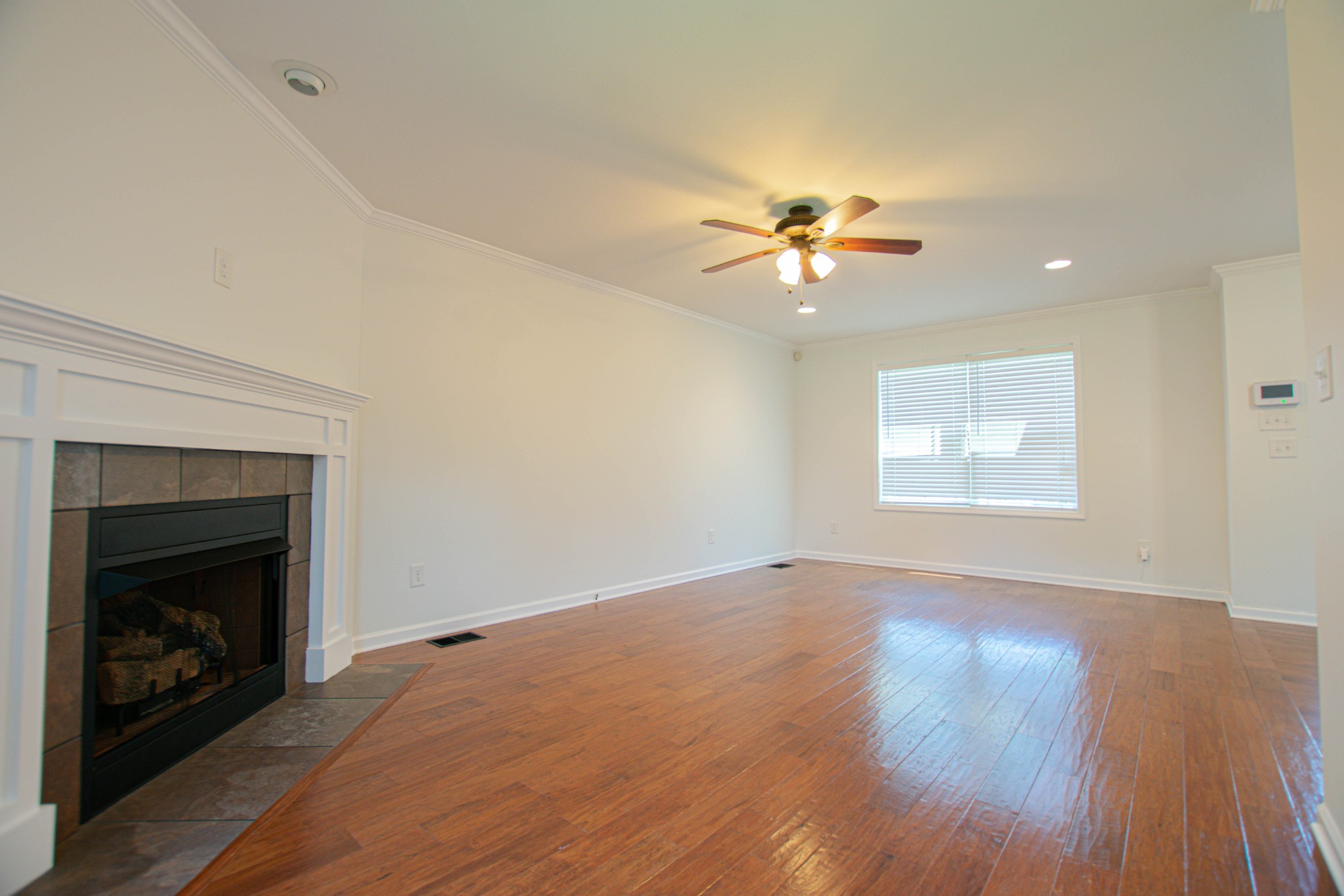 3626 Fox Tail Drive