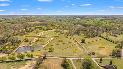 0 Whiteside Hill Rd Wartrace TN 37183