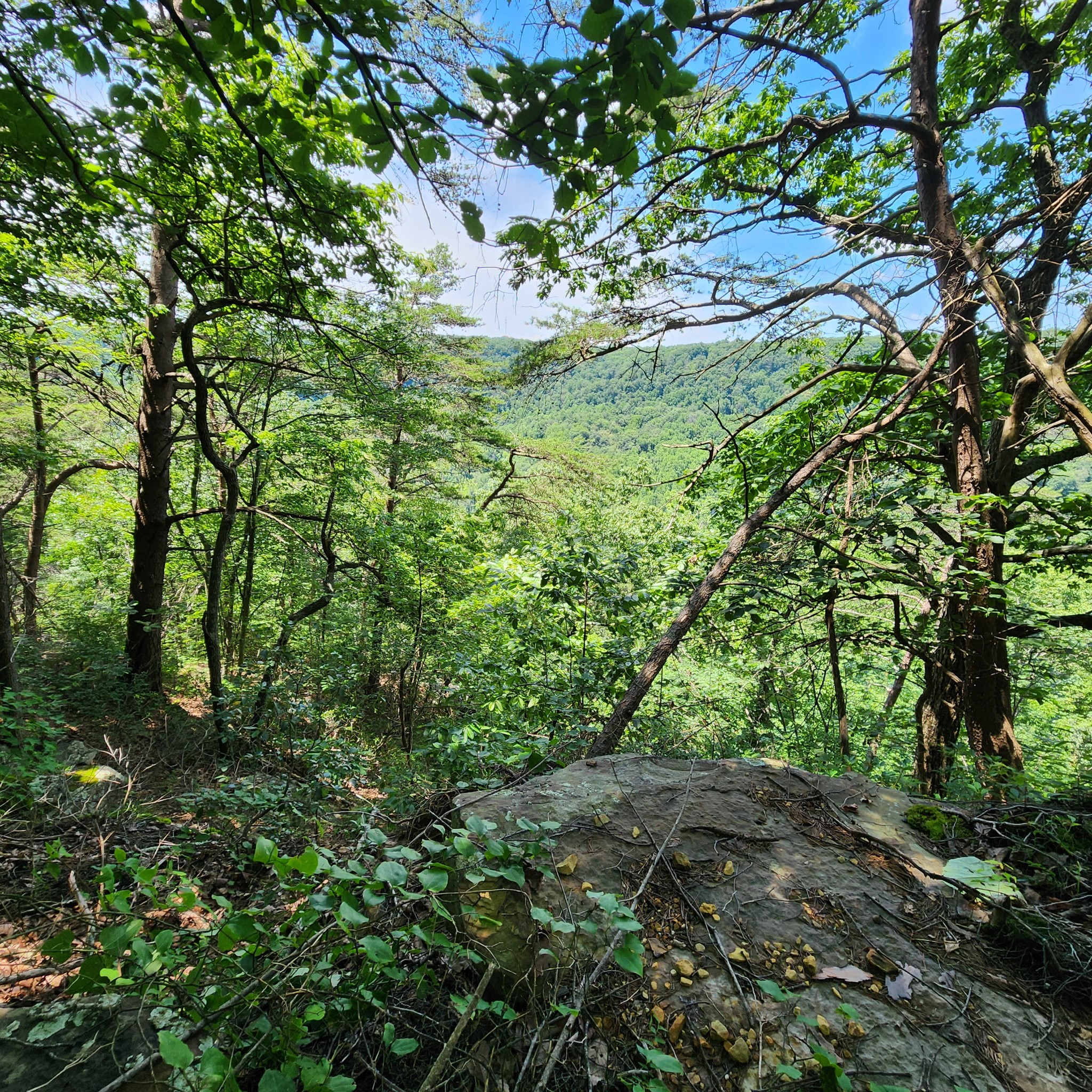 Photo 1 of 16 — 0 Eagle Point Drive, Monteagle, TN 37356