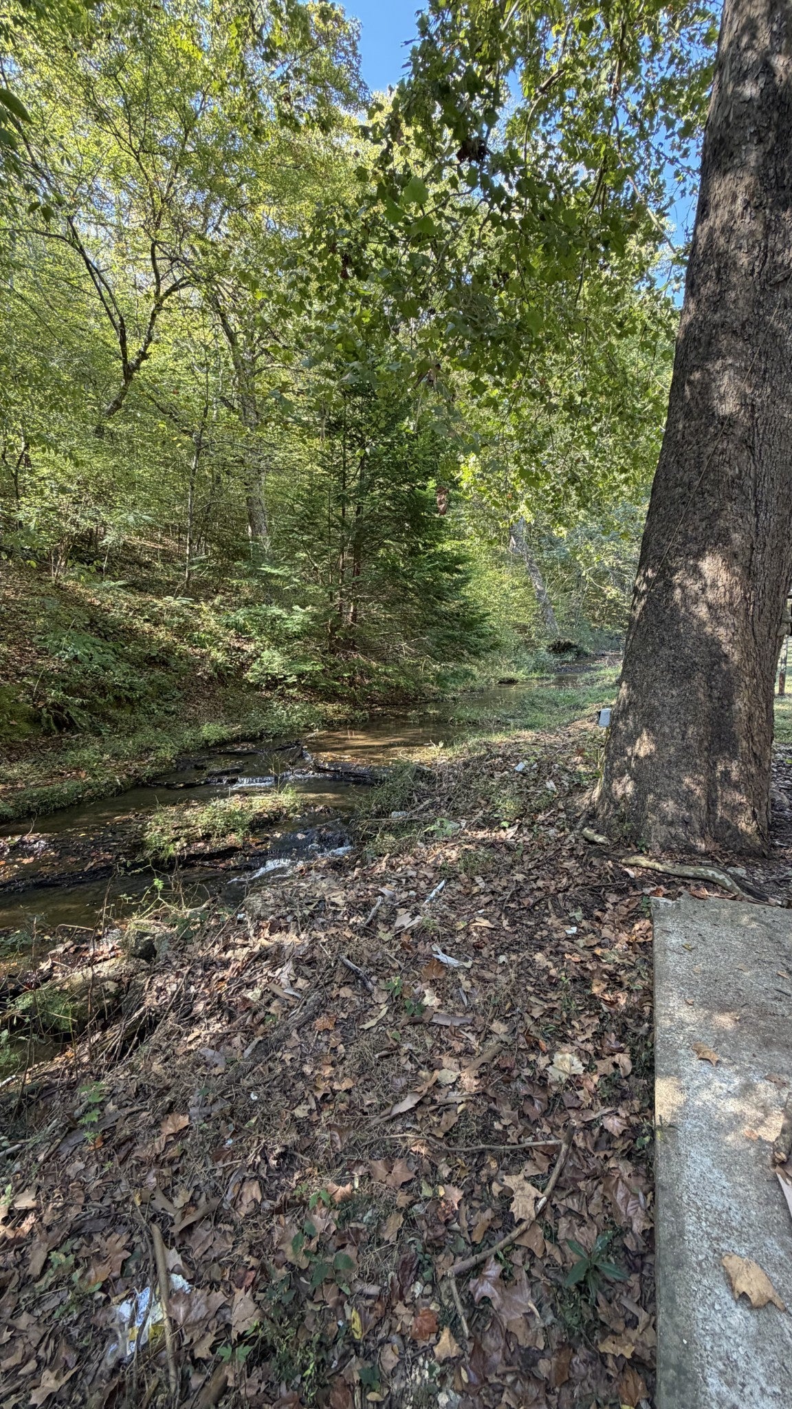 933 Weakley Creek Rd
