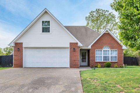 7007 Bridgewater Dr Smyrna TN 37167
