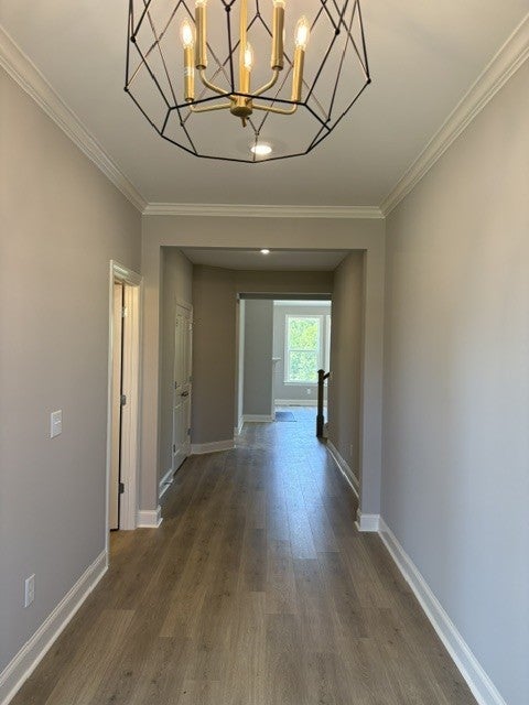 30 Buckhorn Court