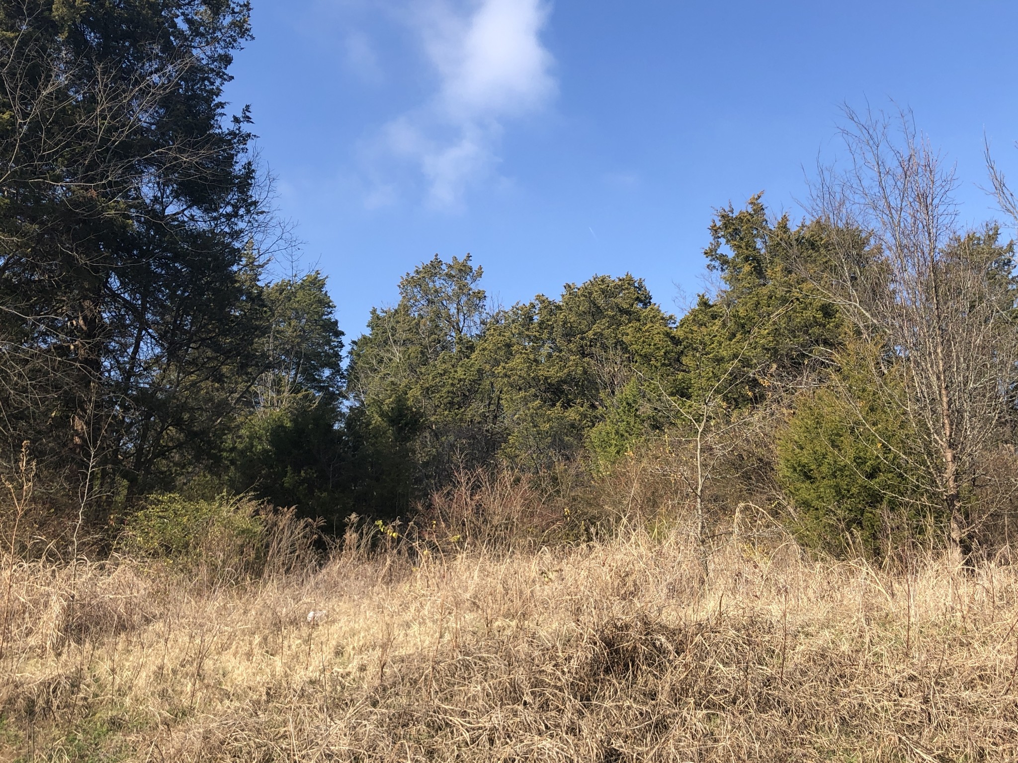 433 Old Hickory Blvd