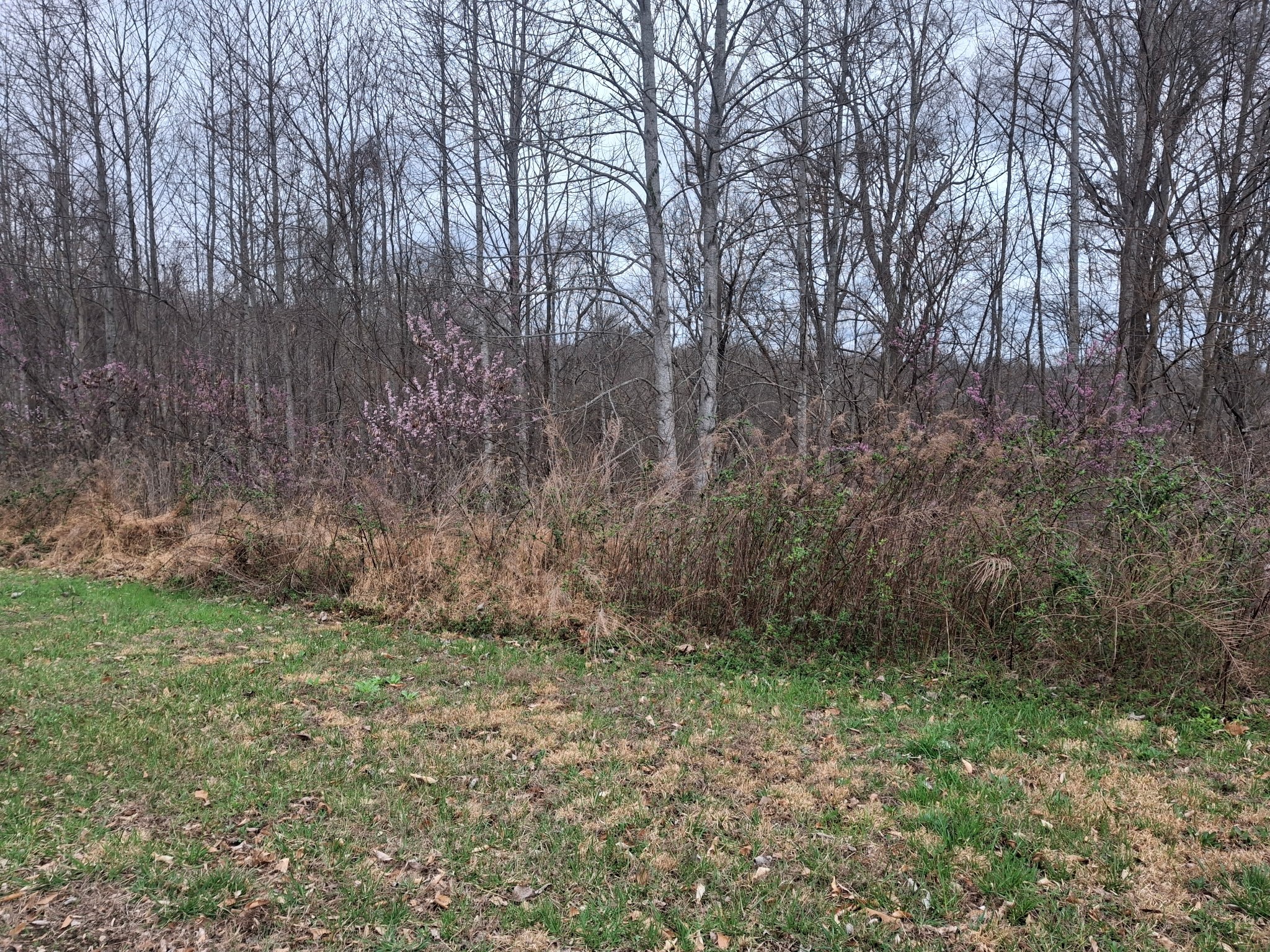 0 Hunters Landing Ln