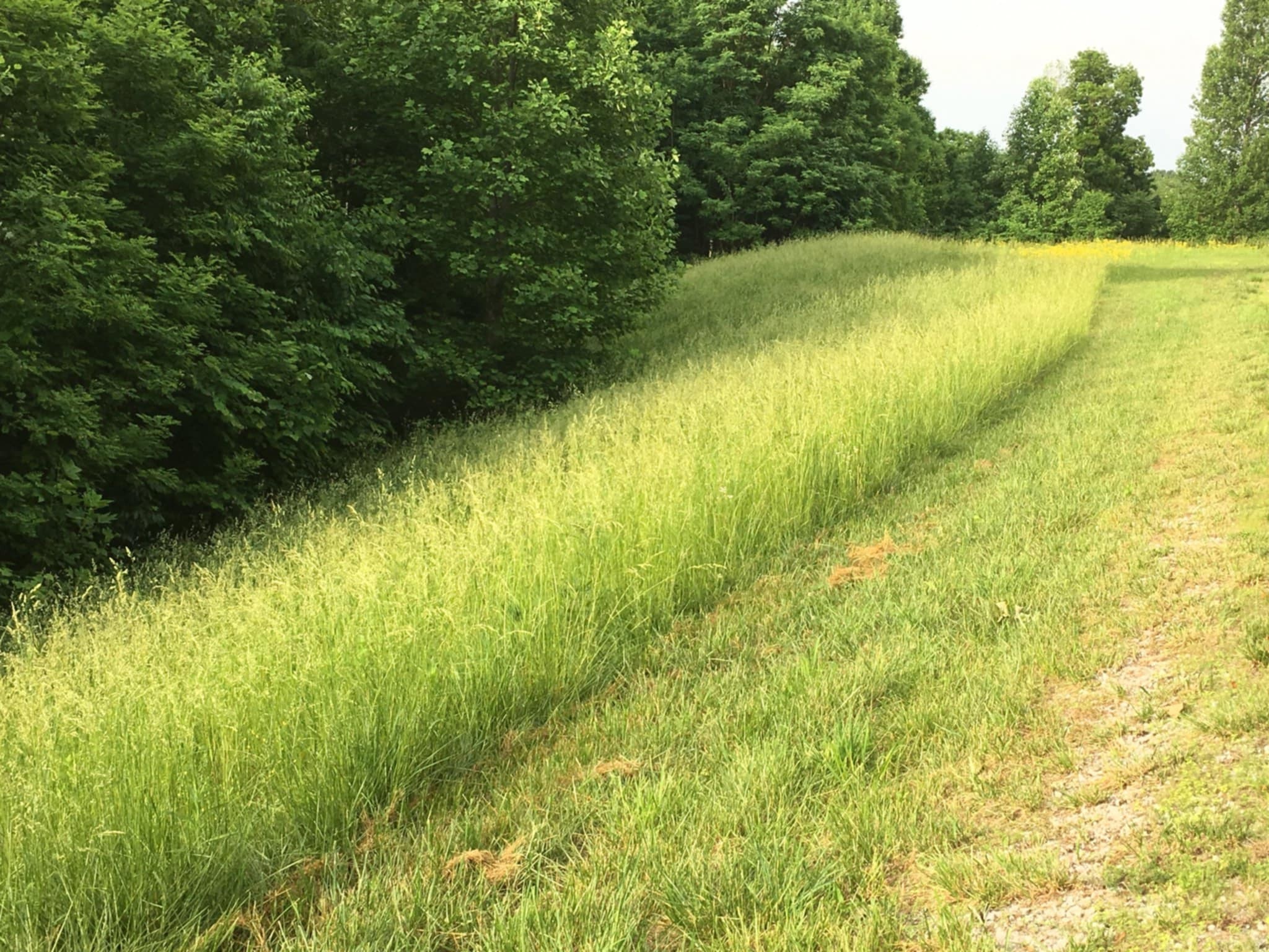 0 Hunters Landing Ln