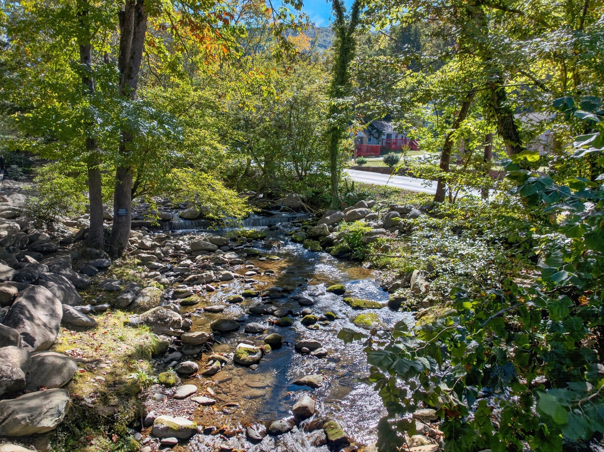 210 Roaring Fork Ext 404