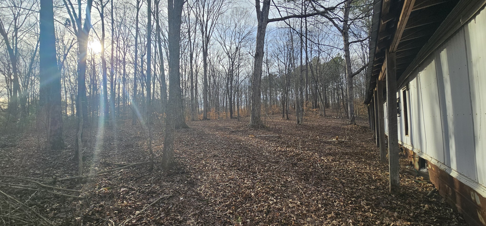 Listing image 8