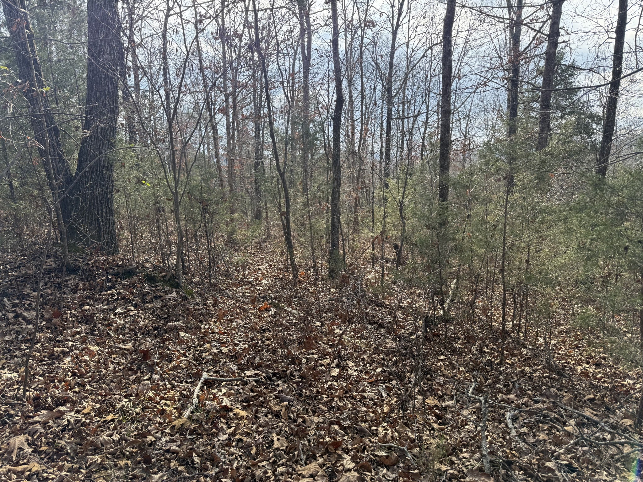 0 Riverview Rd