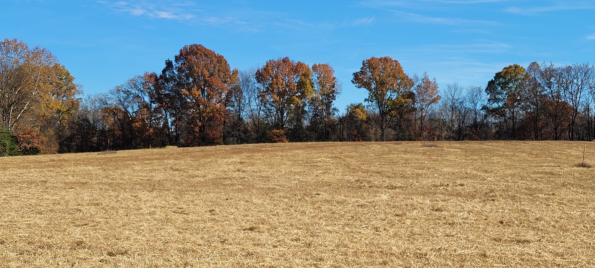 7 Mount Lebanon Church Rd