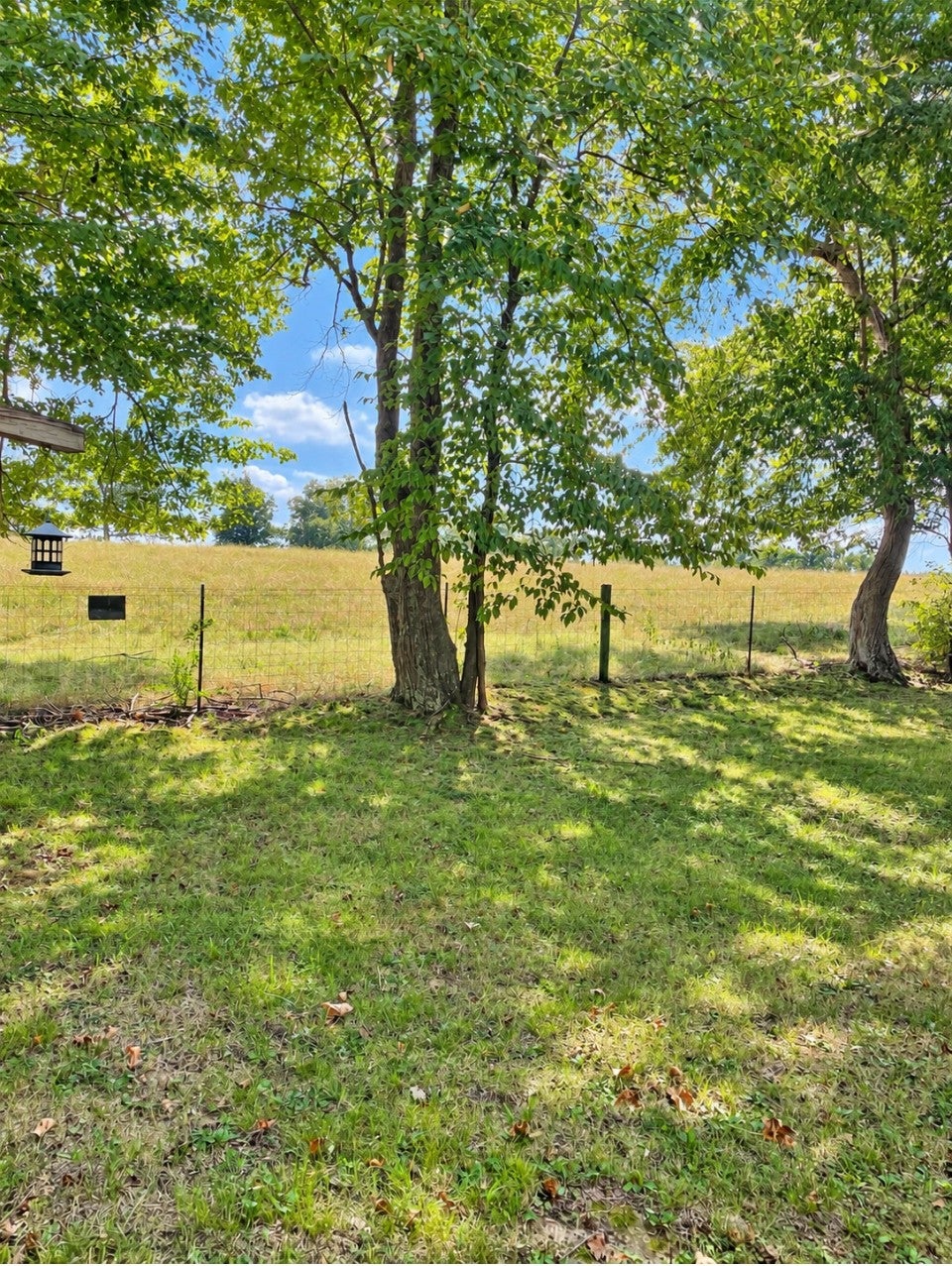 125 Silver Leaf Cir