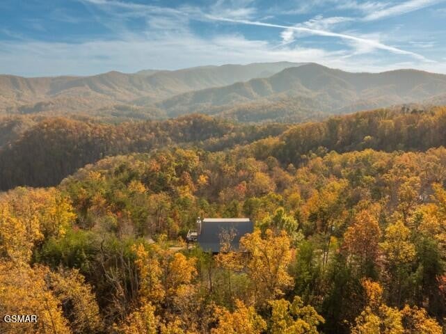 1114 Bear Paw Ridge Way