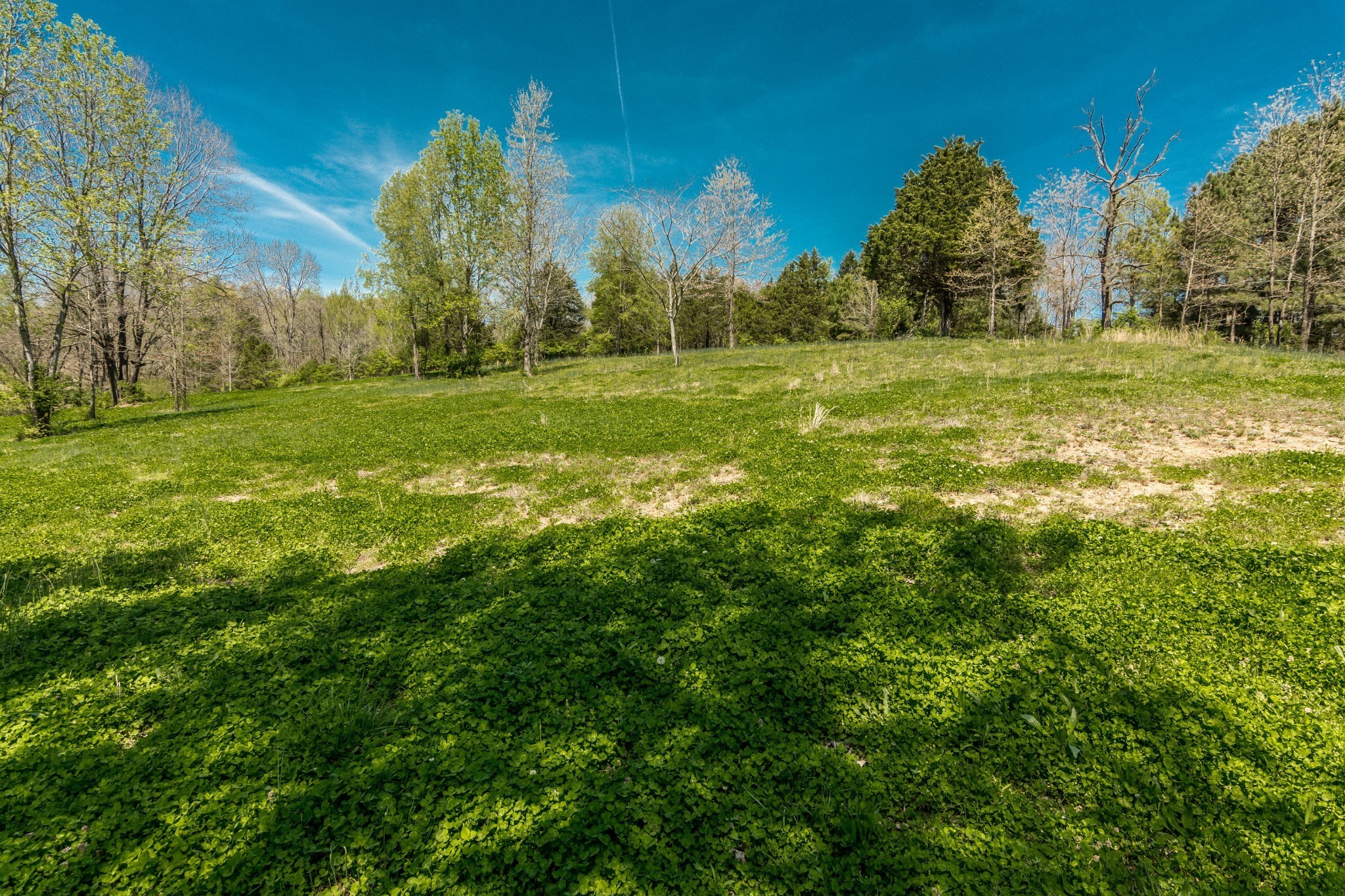 2590 Couchville Pike