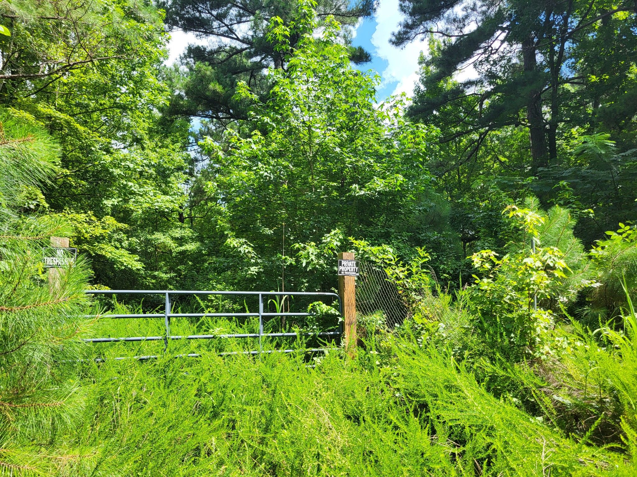 1 Chestnut Hill Rd