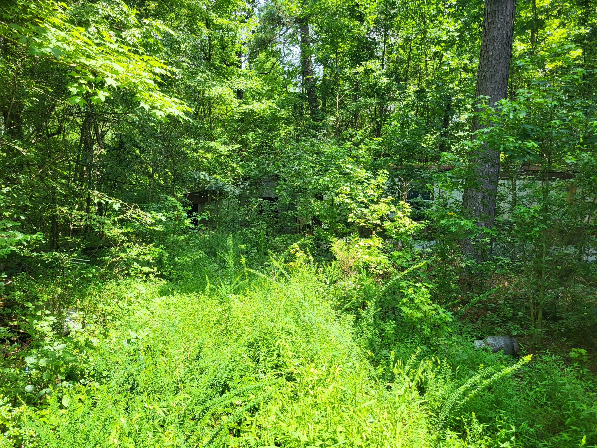 1 Chestnut Hill Rd