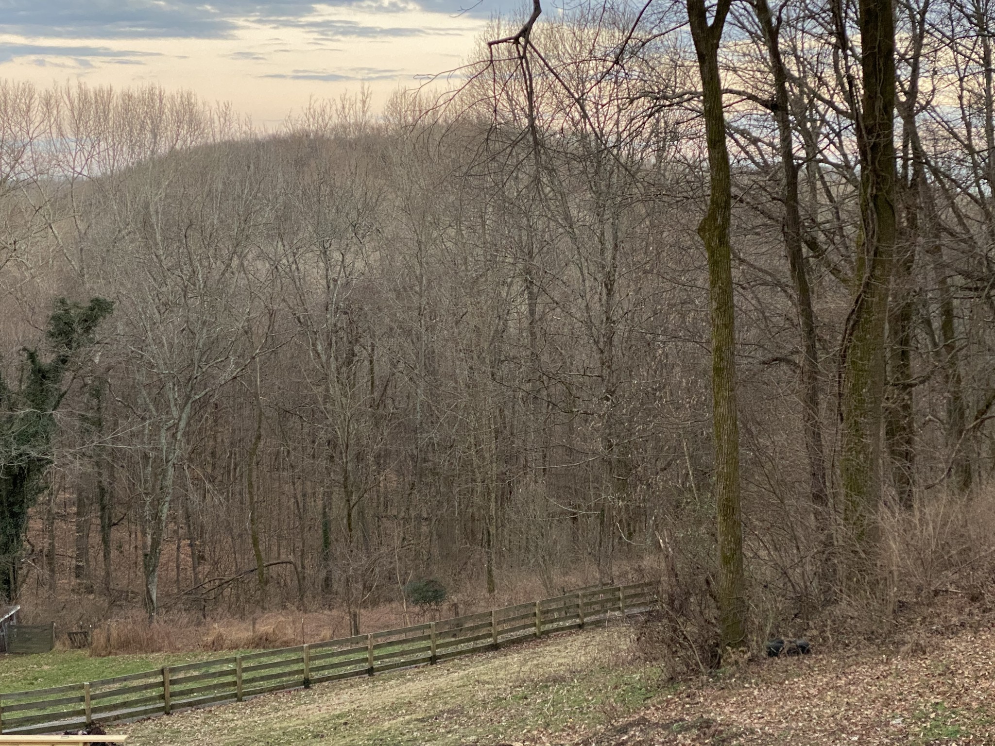 2531 Goose Creek Byp, Franklin TN 37064 0-bed lot, photo 10 of 30