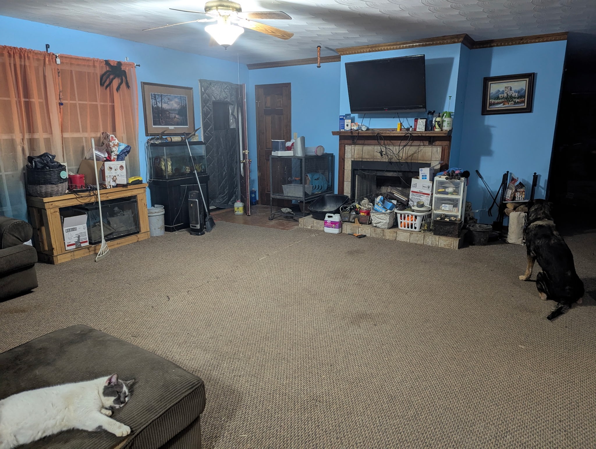 3755 Possum Hollow Rd