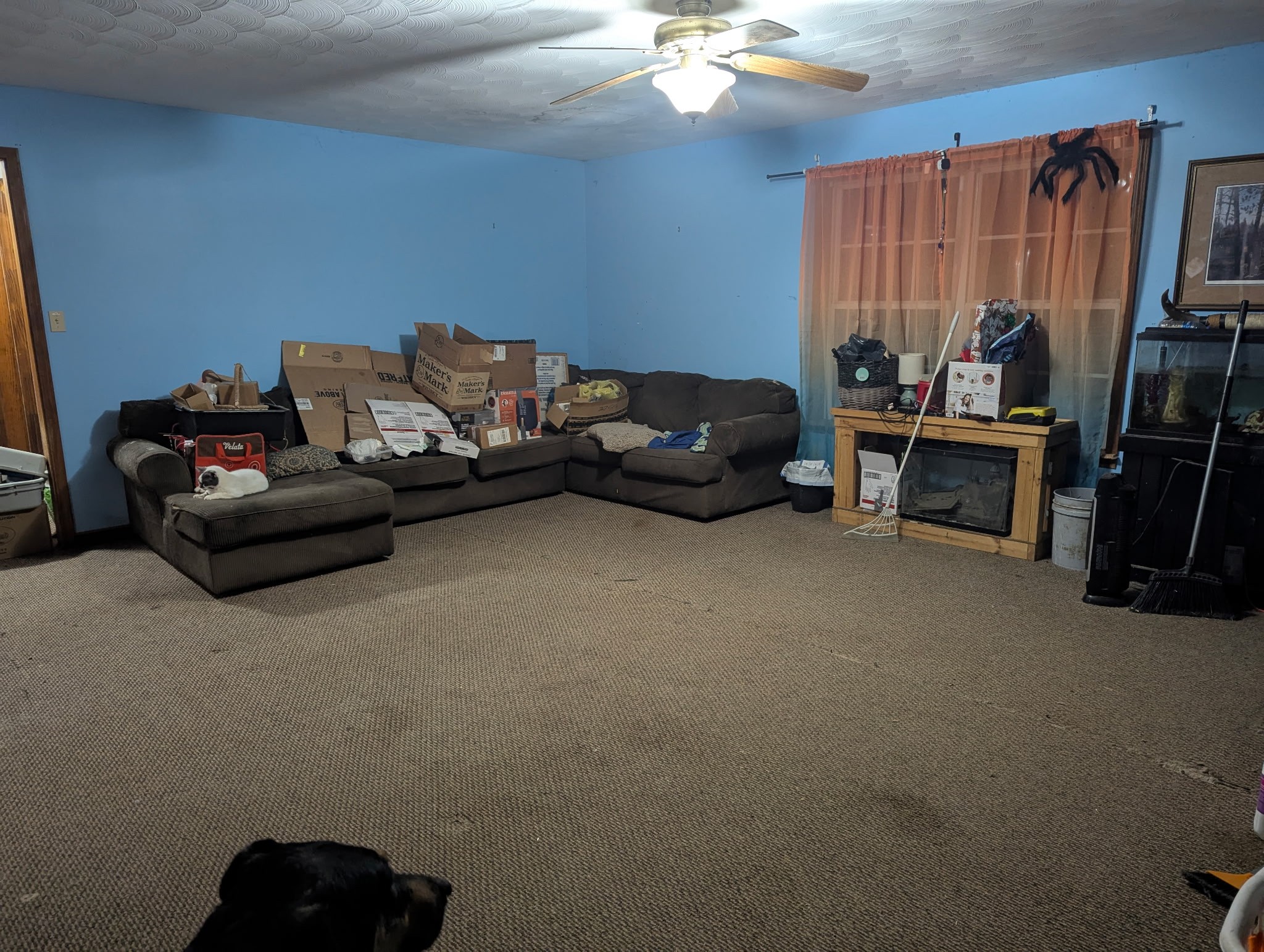 3755 Possum Hollow Rd