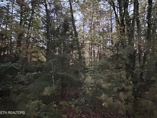 WILDER RD, GRIMSLEY, TN 38565 - Image e5a4e7d7b9f52b13963bf9c645dbc8cd/2886092893