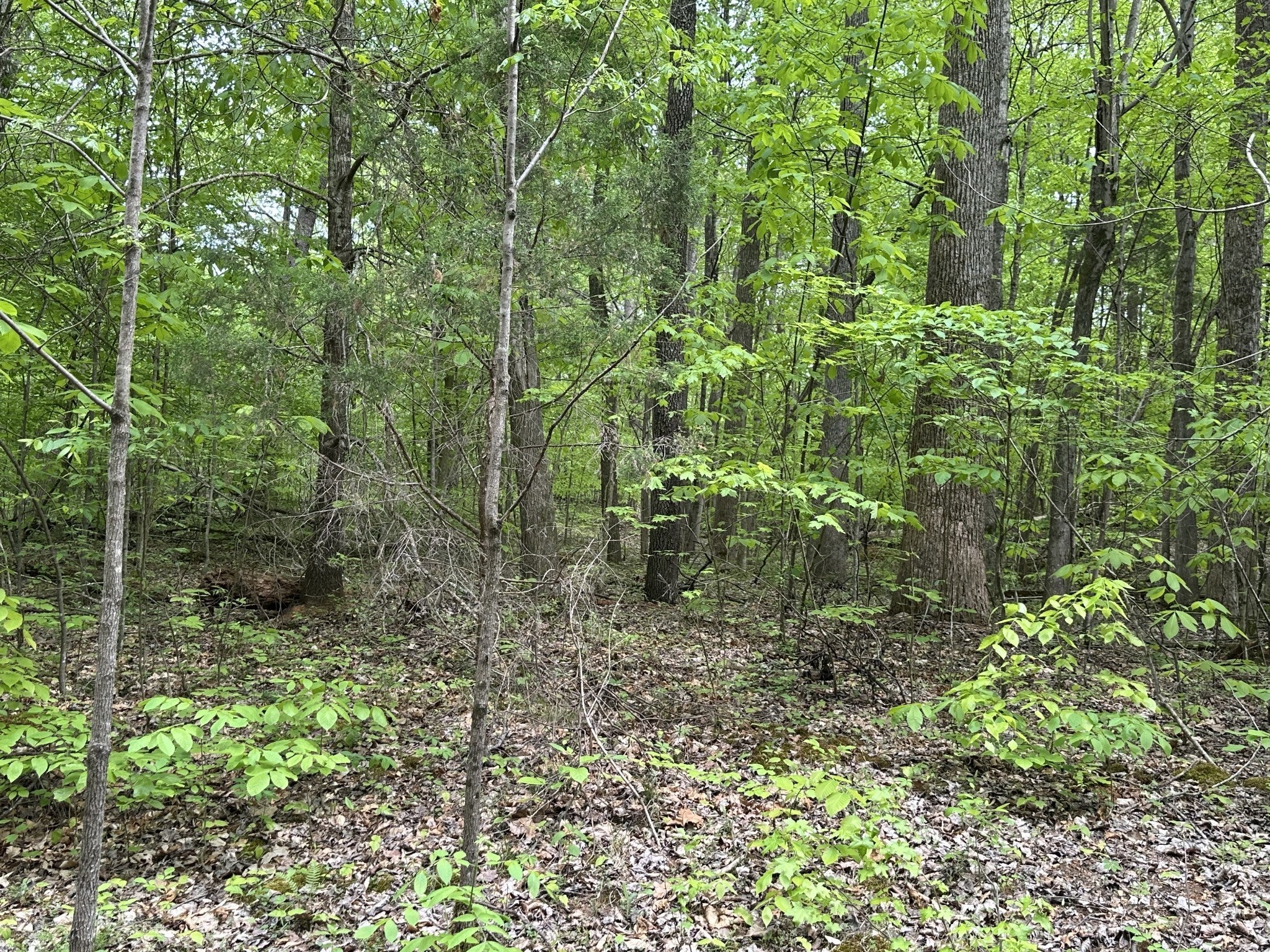 2 Poplar Ridge Rd