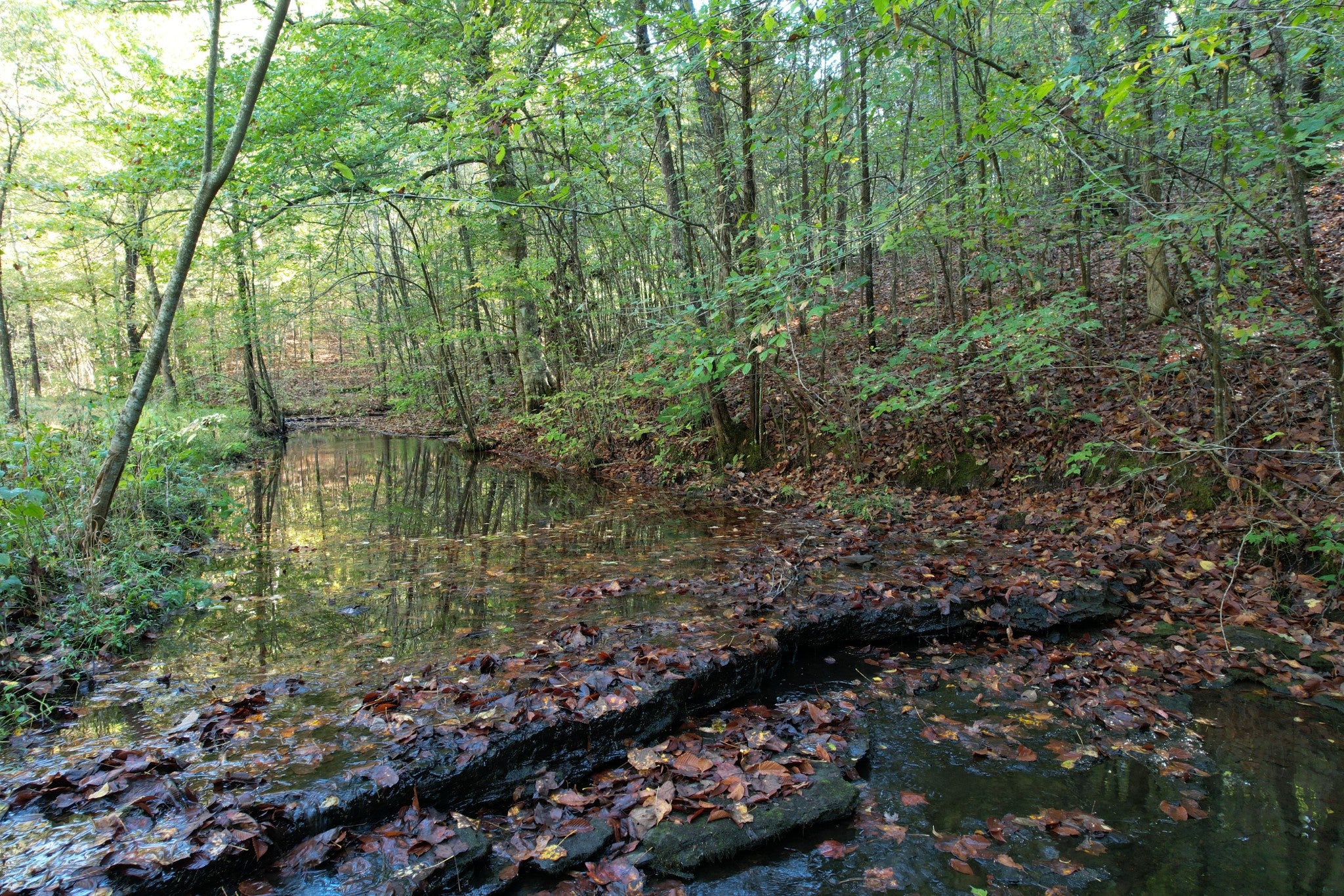 0 Sugar Ridge Rd