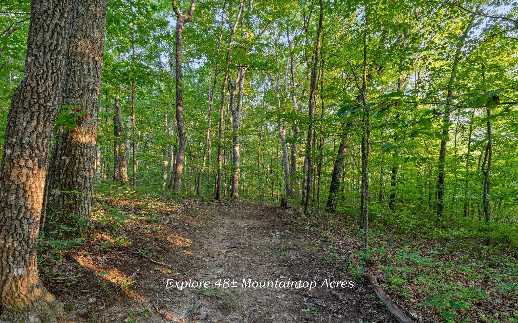 783 Leather Gap Road