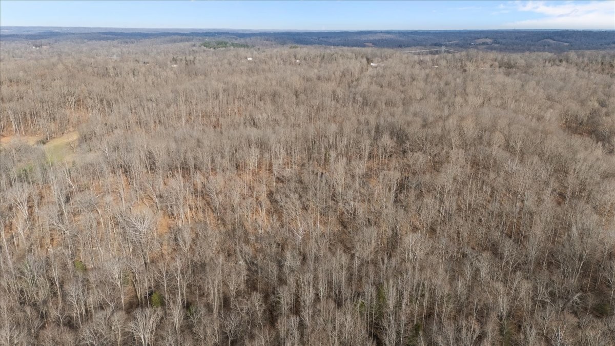 3955 Possum Hollow Rd