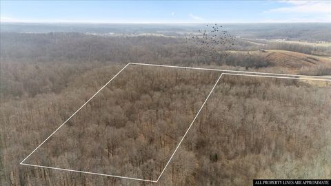 3955 Possum Hollow Rd Palmyra TN 37142