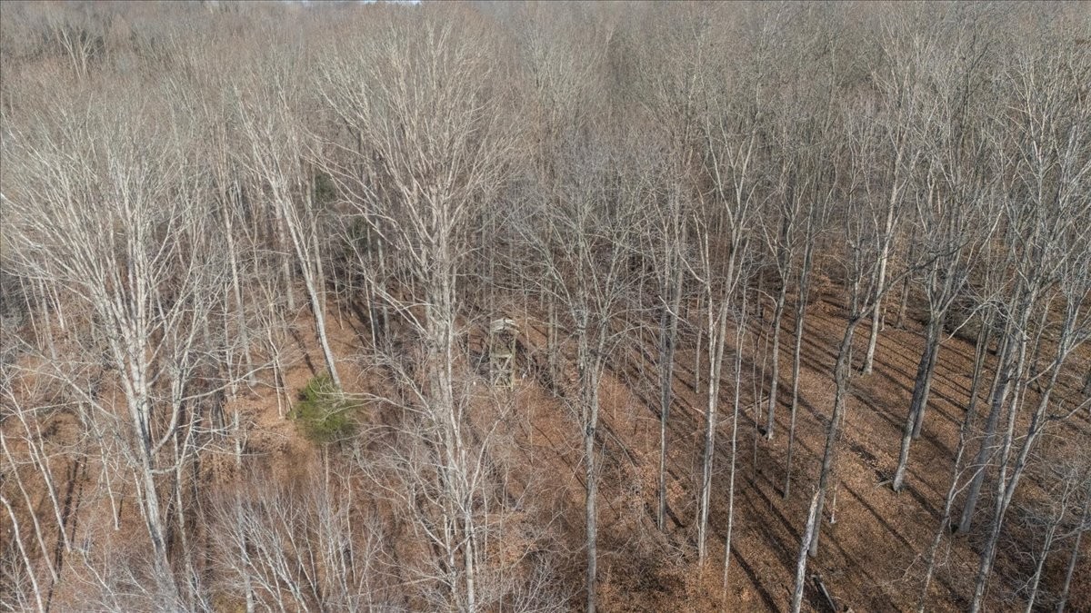 3955 Possum Hollow Rd