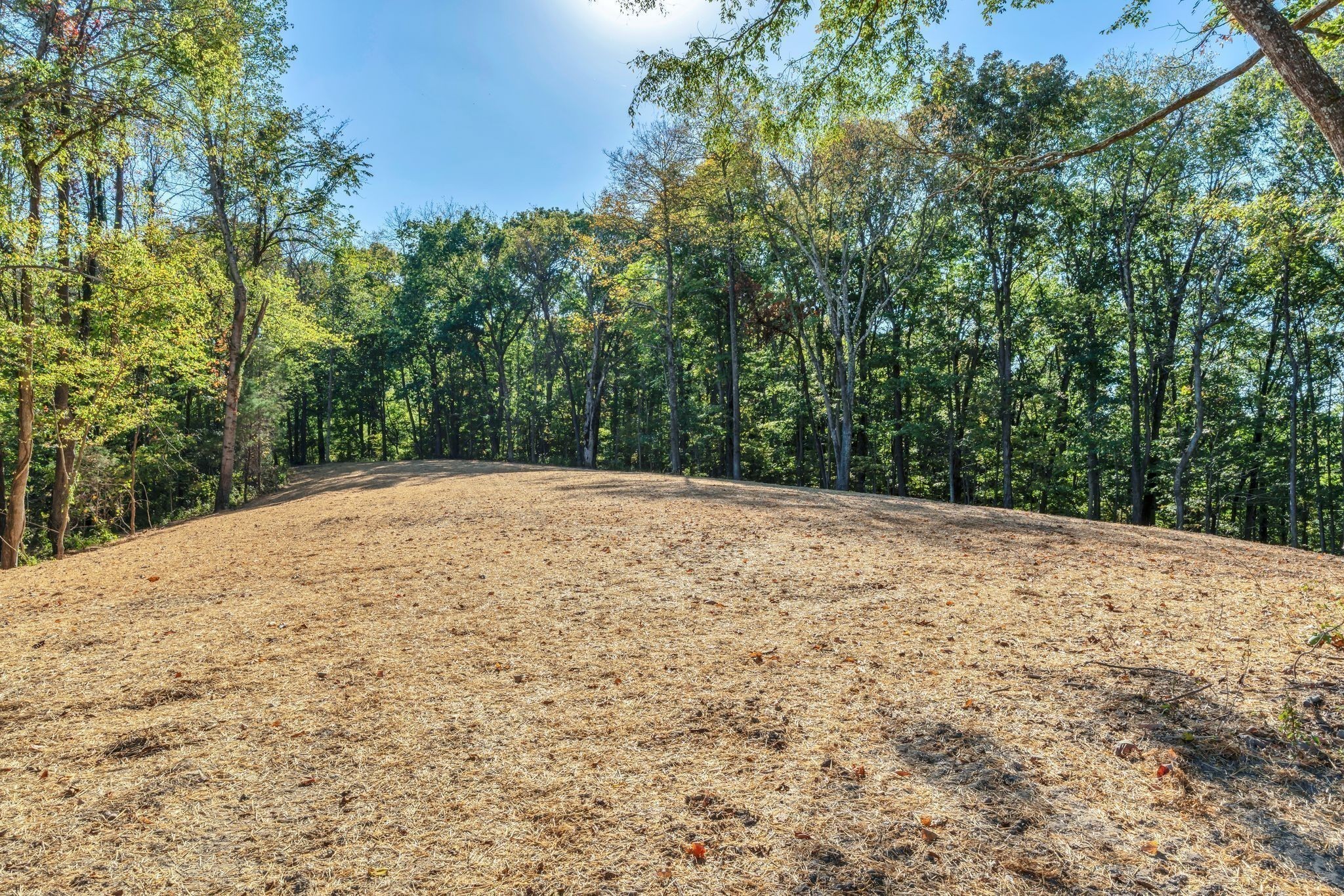 1000 Hogans Branch Rd, Hendersonville, TN, 37075, USA, 4 Bedrooms Bedrooms, ,4 BathroomsBathrooms,Residential,Contingent,1000 Hogans Branch Rd,3226043