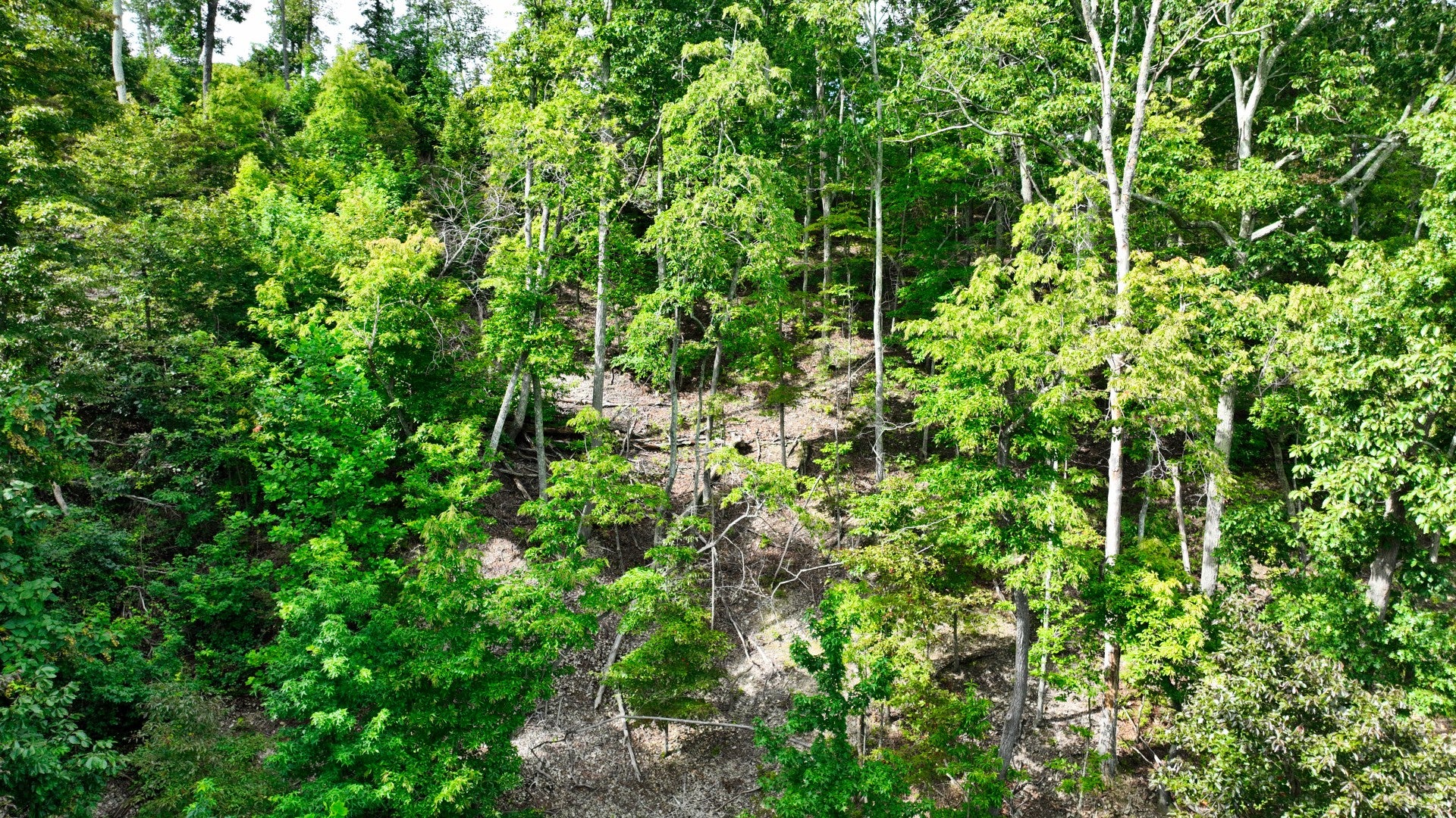 57 Ridge Top Rd