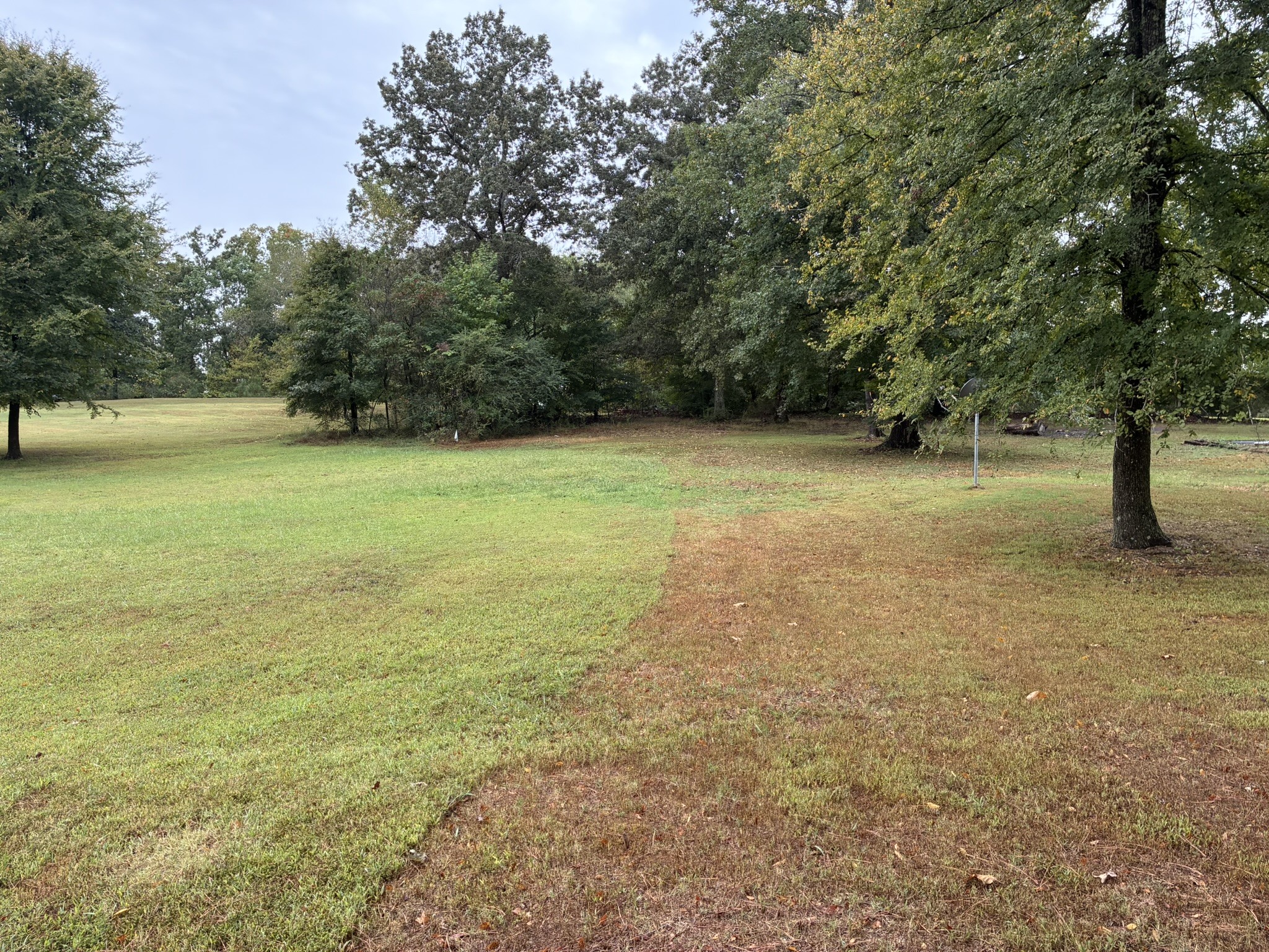 2765 Birdsong Rd - Photo 2