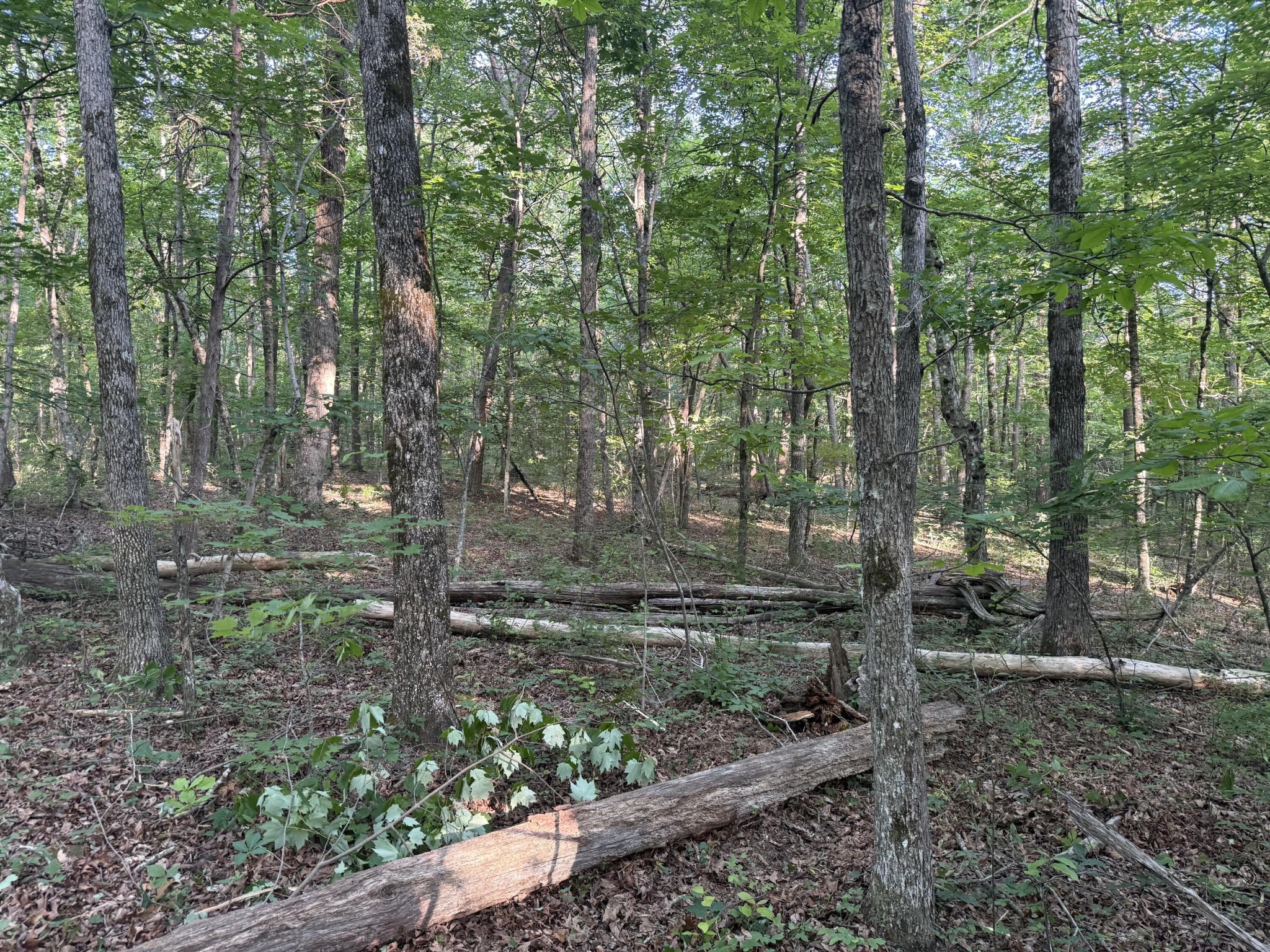1672 Besstown Road