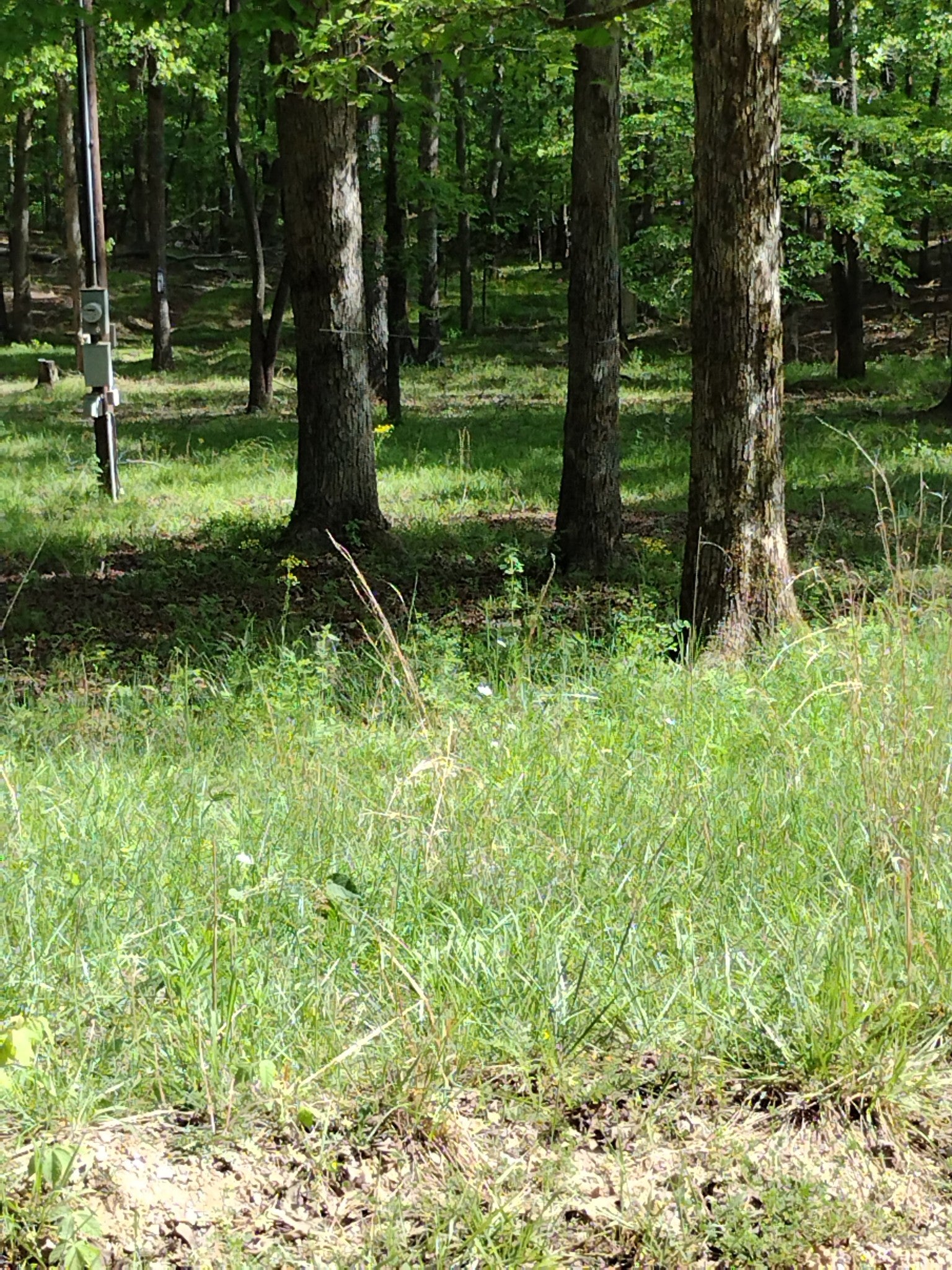 0 South Hidden Valley Rd