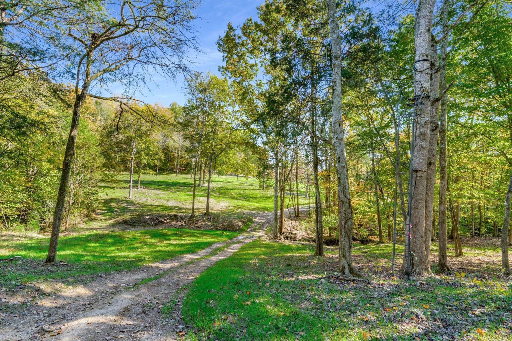 5284 Poor House Hollow Rd, Franklin TN 37064 0-bed lot, photo 22 of 30
