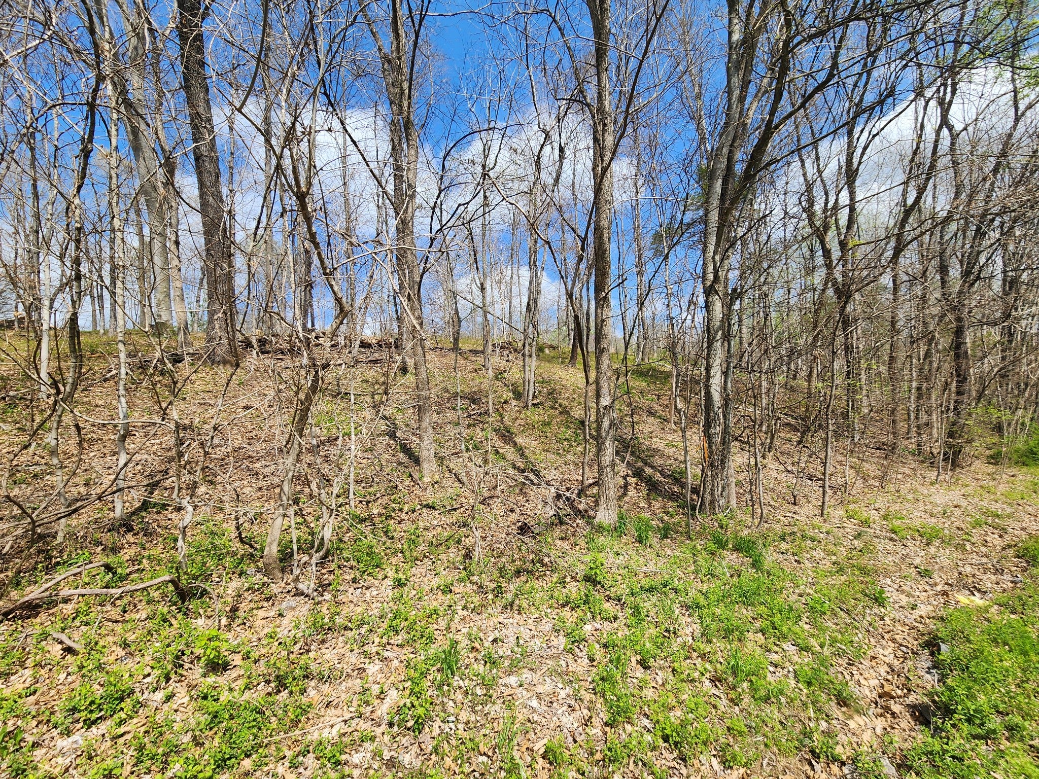 0 Gossett Rd