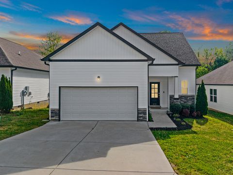 579 Faye Aly Springfield TN 37172