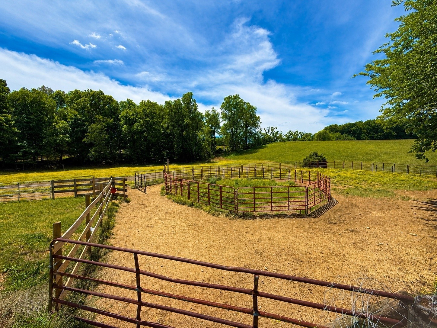 1126 Cedar Creek Rd