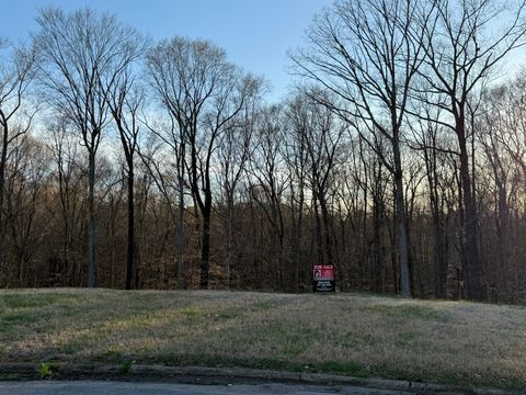 168 Steeple Ridge Way Clarksville TN 37043