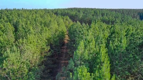 0 Indian Creek Rd Hohenwald TN 38462