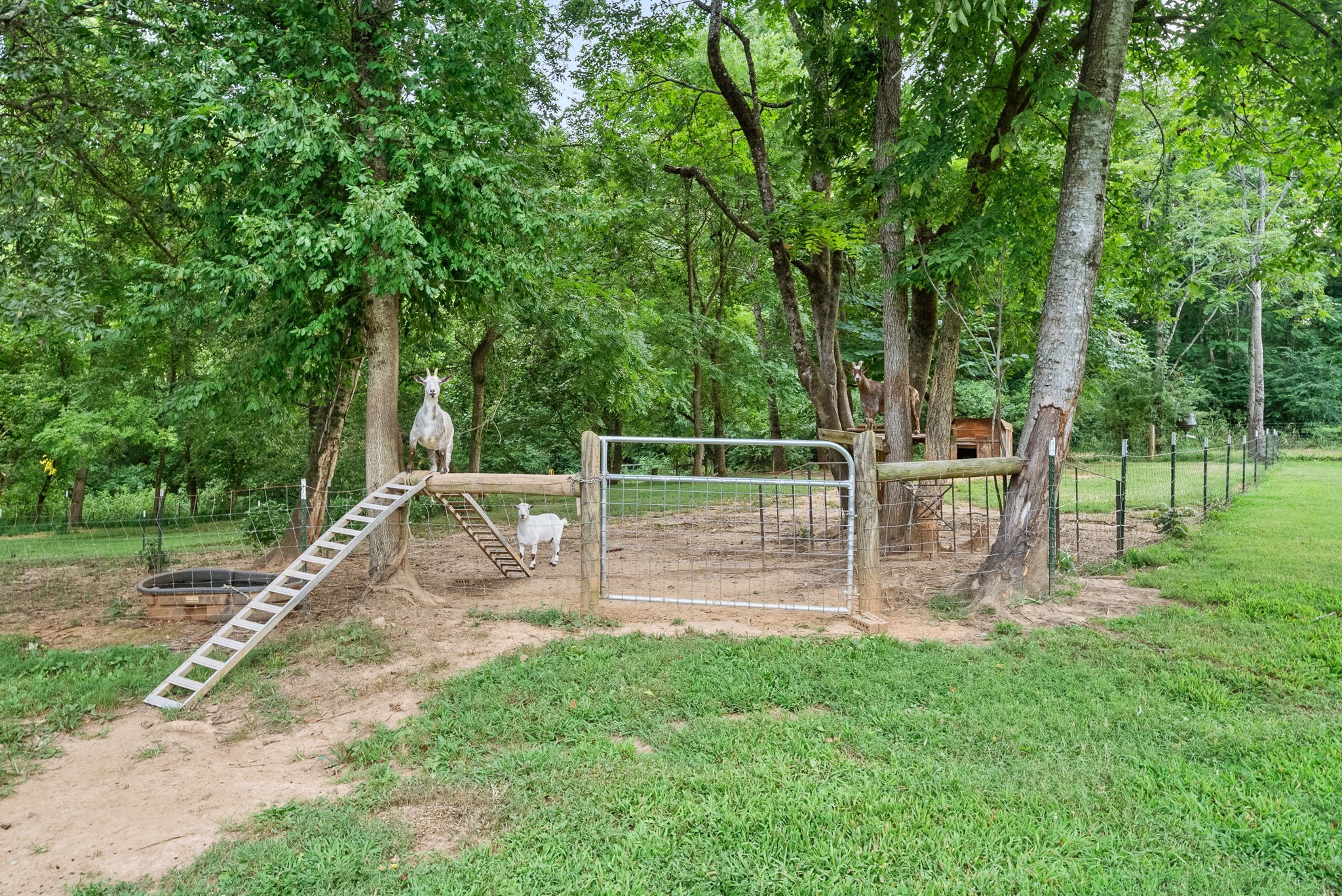 Adams, Tennessee 37010, United States, 4 Bedrooms Bedrooms, ,3 BathroomsBathrooms,Residential,Active,184405