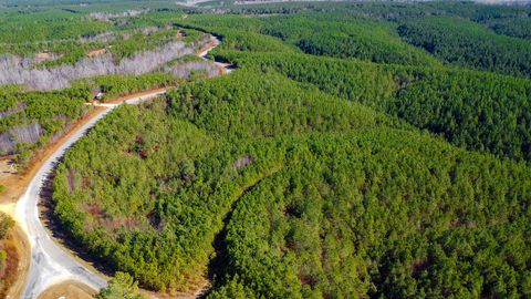 0 Rockhouse Road Linden TN 37096