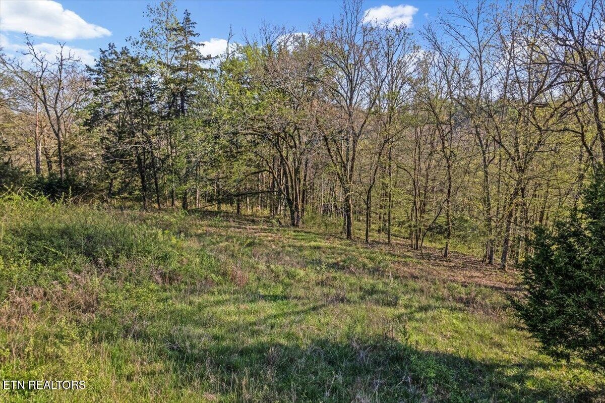 1624 Bartlett Hollow Rd