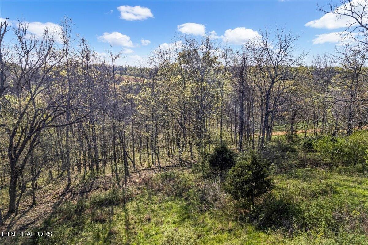 1624 Bartlett Hollow Rd