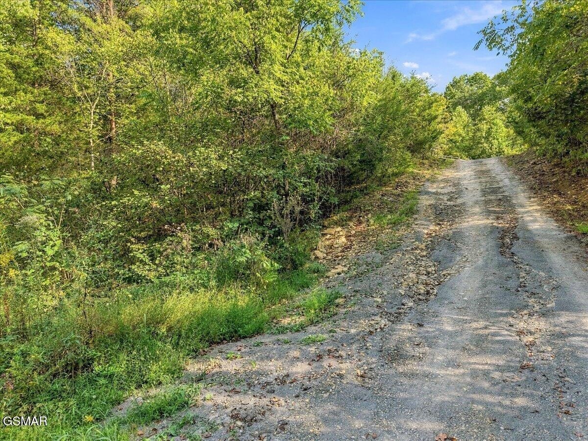 0 Green Road