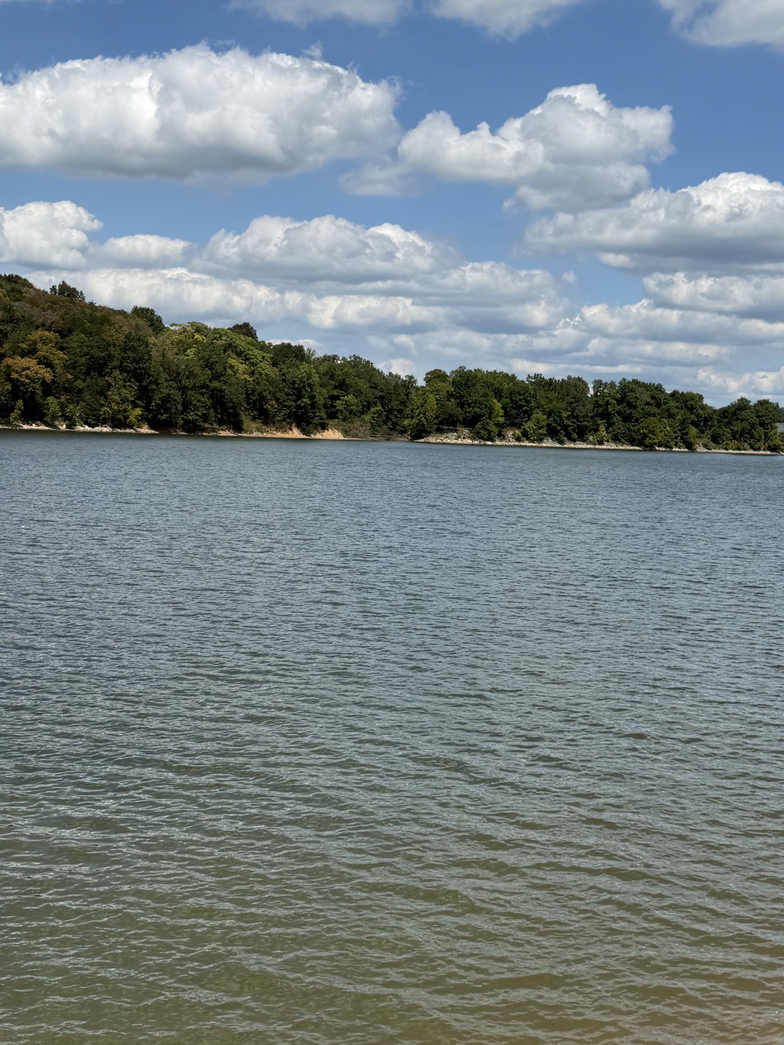 705 River Front Drive