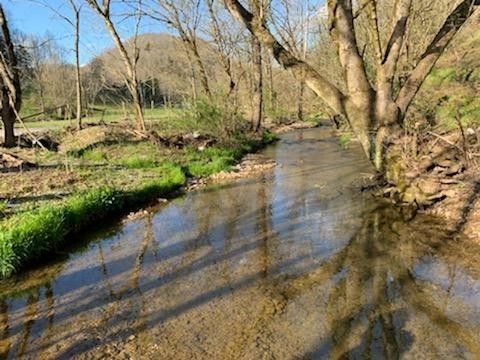 662 Wilmore Hollow Rd Pleasant Shade TN 37145